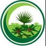 Circle Logo